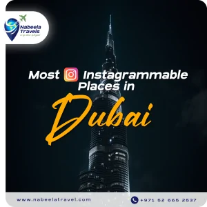 Social Media Creative portfolio example 21